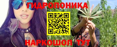 гидропоника Гагарин