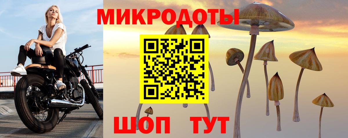 Псилоцибиновые грибы MAGIC MUSHROOMS Надым